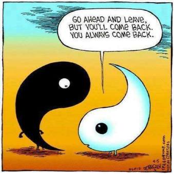 Image result for soulmate yin yang